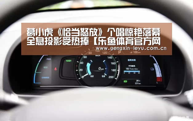 葛小虎《恰当怒放》个唱惊艳落幕 全息投影受热捧【乐鱼体育官方网站入口】(图2) 乐鱼官网下载