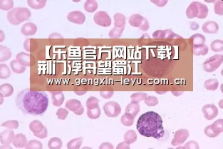 乐鱼体育官方平台