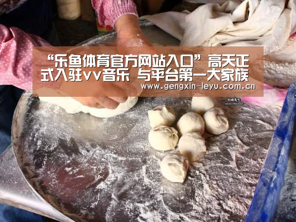乐鱼体育官方网站入口