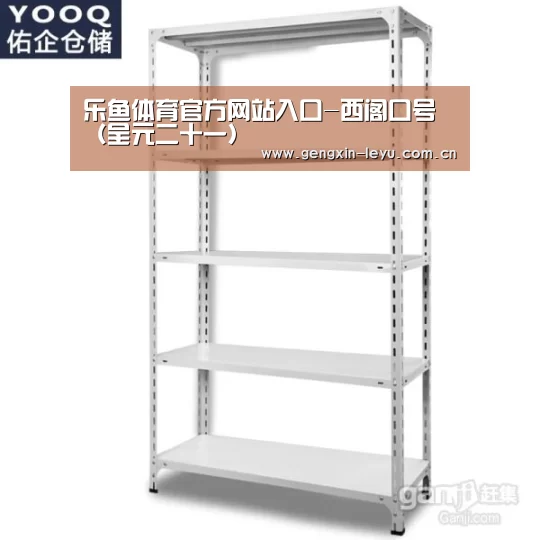 乐鱼体育官方网站入口
