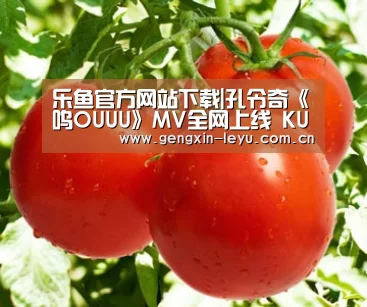 乐鱼体育官方平台